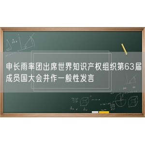 申长雨率团出席世界知识产权组织第63届成员国大会并作一般性发言