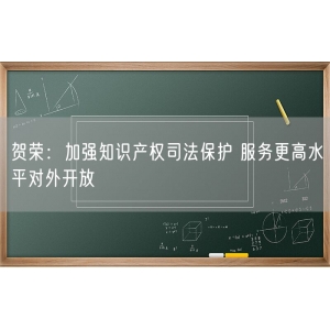 贺荣：加强知识产权司法保护 服务更高水平对外开放