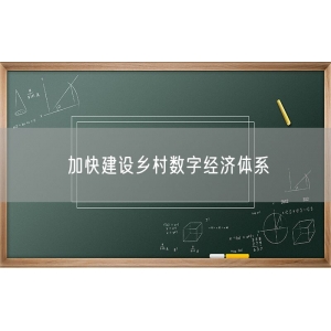 加快建设乡村数字经济体系