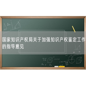 国家知识产权局关于加强知识产权鉴定工作的指导意见