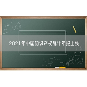 2021年中国知识产权统计年报上线