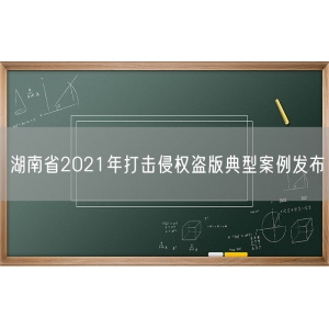 湖南省2021年打击侵权盗版典型案例发布