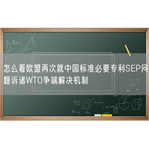 怎么看欧盟再次就中国标准必要专利SEP问题诉诸WTO争端解决机制