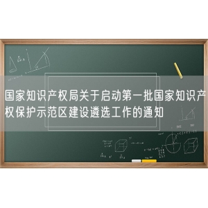 国家知识产权局关于启动第一批国家知识产权保护示范区建设遴选工作的通知