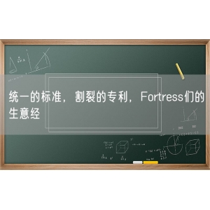 统一的标准，割裂的专利，Fortress们的生意经