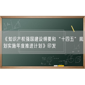 《知识产权强国建设纲要和“十四五”规划实施年度推进计划》印发