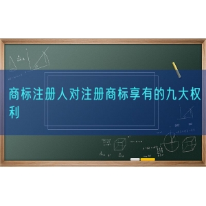 商标注册人对注册商标享有的九大权利