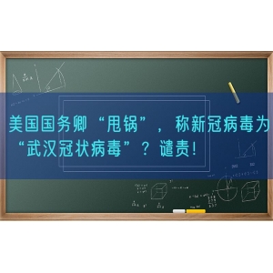 美国国务卿“甩锅”，称新冠病毒为“武汉冠状病毒”？谴责！